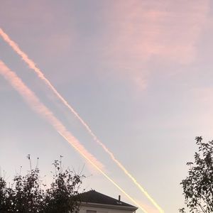 Meet your Posher, Roni